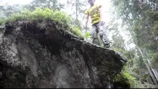 MAGIC WOOD  