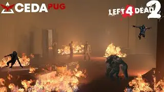 Lunes de bajos en el cedabug :D , bajando su pepita