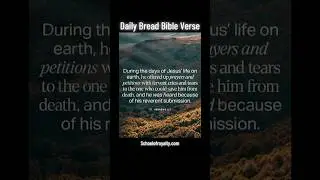 Bible Verse & Meditation Scripture#bibleverse#meditation#biblescripture#verseoftheday#bible#prayer