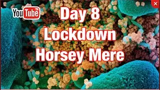 Horsey Mere and Mill #lockdown #november2020 #horseymere