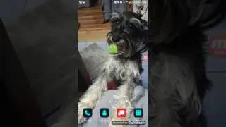 Android studio todolist demo