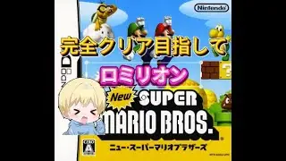 ロミリオンの【スーパーマリオブラザーズ】