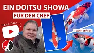 Ein Doitsu Showa f&uuml;r den Chef!