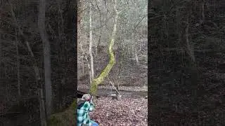 Blowing Up Another 1 LB of Tannerite In My Backyard