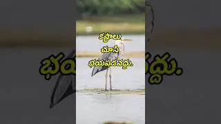 Quotations #3783 | telugu sukthulu | manchi matalu | neethi vakyalu | top matalu | jeevitha satyalu
