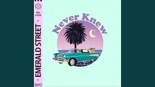 Never Knew (Deja Vu)