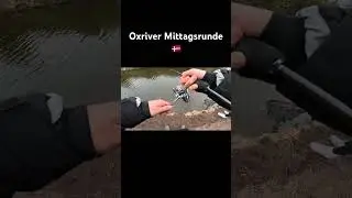 🇩🇰Oxriver Mittagsrunde 🎣#Oxriverputandtake #forellenangeln #forelle #fy #troutjara #D&auml;nemark #ftm