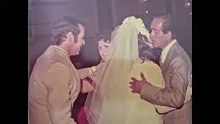 Bodas de Ouro Sônia e Vital