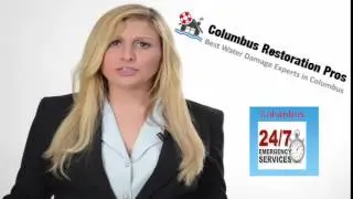 Pickerington OH Mold Removal and Mold Remediation Restoration Experts