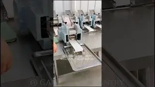 Momo and dumpling wrapper machine ; dough sheet machine