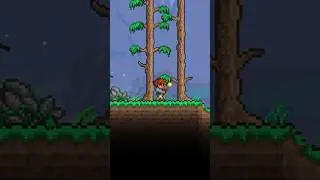 Почему в Terraria добавили Torch God