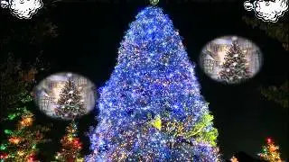 Sheldon Douglas-Christmas With U ( Grenada Christmas songs)