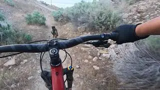 Las Aventuras de Akela 2 - Fezzari Abajo Peak