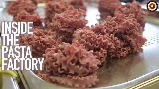 Inside the Pasta Factory, where all the magic happens