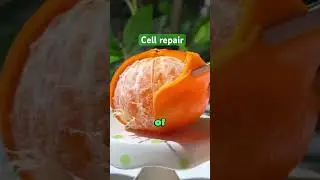Five fruits good for cell repair #fruit #wellness #health #facts