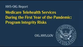 Medicare Telehealth Services During the First Year of the Pandemic: Program Integrity Risks