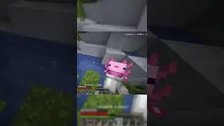 Джава или Бедрок? |  #minecraft #майнкрафтвыживание #minecraftshorts #holdmyitem #actionandstuff