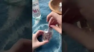 蓝花楹魔法酊剂制作过程