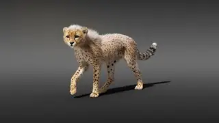 CGI 3D Animated Animal in Blender | Walking Cheetah Showreel