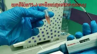 How to run Hba1c in Finecare Machine