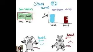 Group D: Functionally redundant genes&hellip; or not?