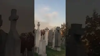 Calvary Cemetery Tour In Queens, NYC.