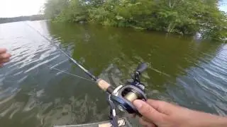 Bubble gum bass at Dodge County PFA