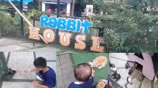 KASIH MAKAN KELINCI IMPORT DI LEMBANG PARK AND ZOO|#rayubina #rayubinafamily