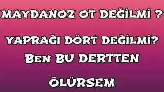 Maydanoz Ot Değil mi, Yaprağı D&ouml;rt Değil mi, Ben Burada &Ouml;l&uuml;rsem Anama Dert Değil mi?