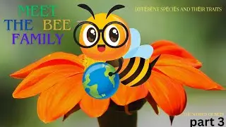 🐝meet the bee family/Efforts to conserve pollinators/Types of bees/honey bees/the world of bees🐝❤