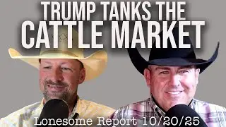Комментарии президента Трампа подрывают рынок крупного рогатого скота &mdash; Lonesome Report &mdash; 20.10.2025