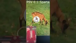 PSV hit Sparta Rotterdam badly! What a start of the season!