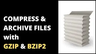 file compression and archiving | gzip & bzip2