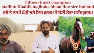 Interview with young horse man Jagpreet singh grewal,, Bhaini Rora stud farm