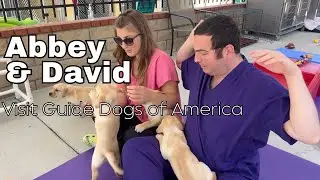 Abbey & David Visit Guide Dogs of America | Tender Loving Canines