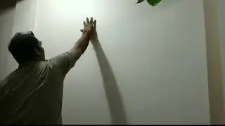 Buddha's Wallpenting