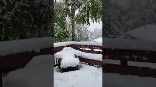 A snow storm in September in alaska?! #alaska #alaskan #alaskalife #alaskawinter #winter
