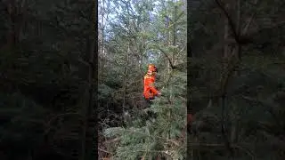 Prořezávka akce 2část