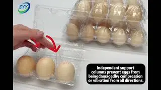 Plastic Egg Trays for Safe & Long-Distance Transportation