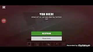 Minecraft pe cartoon cat arrived bag fix  by me 1.21.60 or 1.21.114 