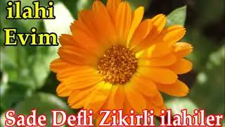 🧡✨Sade Defli Zikirli İlahiler Dinle✨🧡İlahi Evim'' den En G&uuml;zel İlahiler Ş&ouml;leni🧡✨