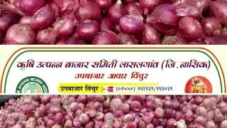 kanda bhav today - 14 November 2024 कांदा बाजार भाव आजचे #kandabhavtoday