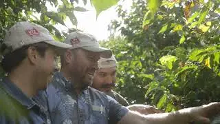 Exploring Brazil with The Roasterie