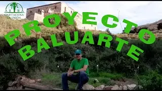 🌲🌳🌴🌿🌾🍃 PROYECTO BALUARTE 🍃🌾🌿🌴🌳🌲