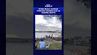 Bondi Beach Attack | Panicked Crowds Flee As Gunfire Erupts At Iconic Sydney Hotspot