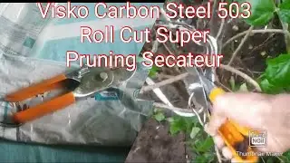 Visko Carbon Steel 503 Roll Cut Super Pruning Secateur&nbsp;Unboxing Uses @spandancreationodisha4533