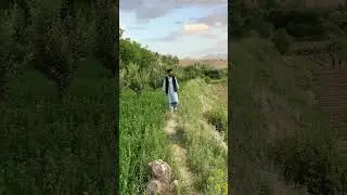 Wardak
