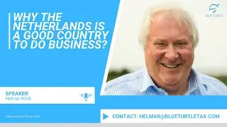 Why the Netherlands is a good country to do business | Insights from Blue Turtle Tax