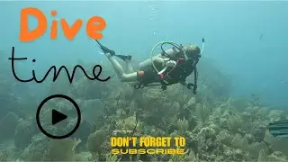 Unlocking the Secrets of the Deep with PADI (Open Water Course)