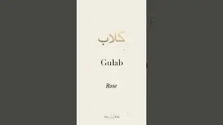 How To Say ROSE In URDU | گلاب , Gulab | Urdu To English Translation | Learn Urdu FAST #Shorts